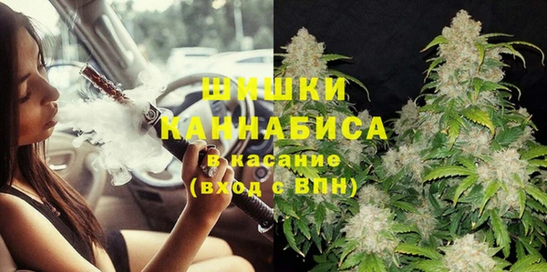 индика Волосово