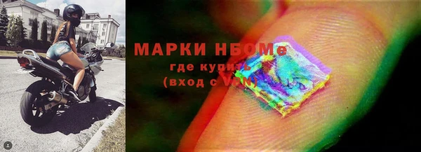 сатива Волоколамск