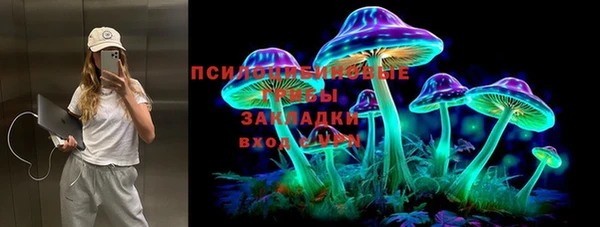 индика Волосово