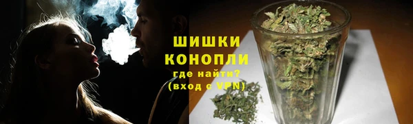 сатива Волоколамск