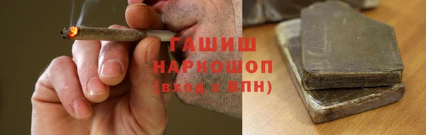 сатива Волоколамск