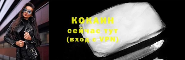 индика Волосово