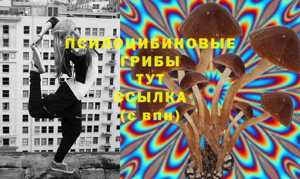 индика Волосово