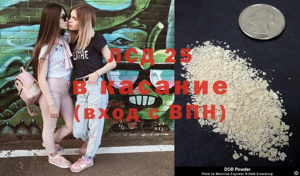 сатива Волоколамск
