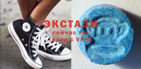 индика Волосово