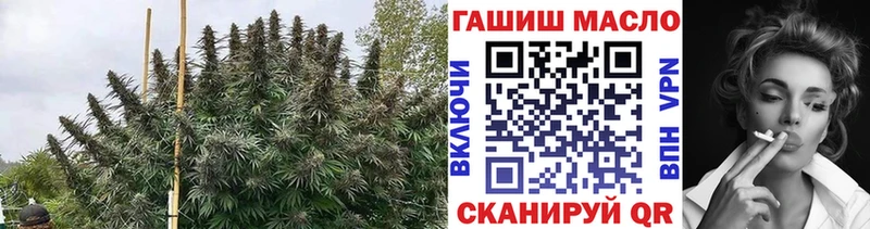 Купить закладки  Кыштым  ТГК вейп с тгк 