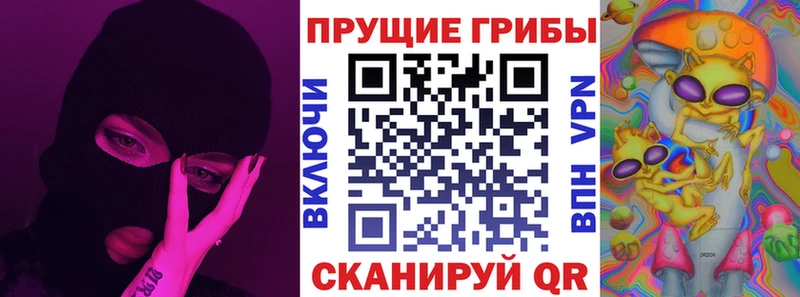 Купить  Кыштым  Галлюциногенные грибы мицелий 